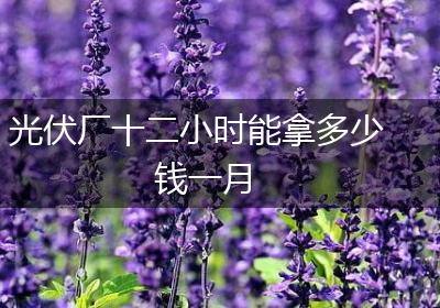 光伏厂十二小时能拿多少钱一月