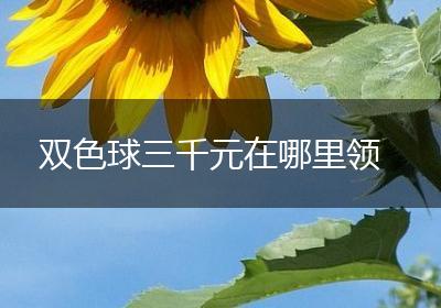 双色球三千元在哪里领
