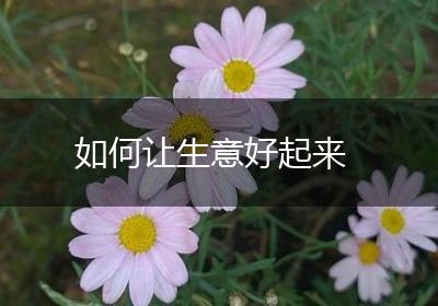 如何让生意好起来