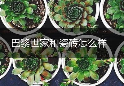 巴黎世家和瓷砖怎么样