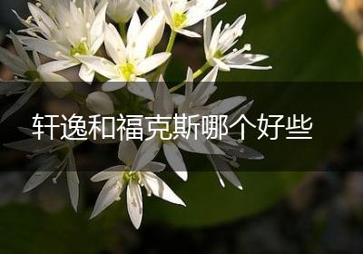 轩逸和福克斯哪个好些