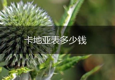 卡地亚表多少钱