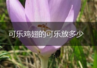 可乐鸡翅的可乐放多少