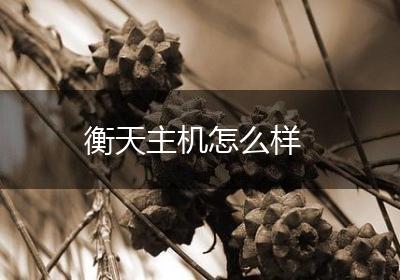 衡天主机怎么样