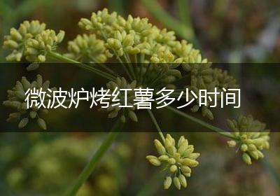 微波炉烤红薯多少时间