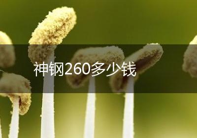 神钢260多少钱