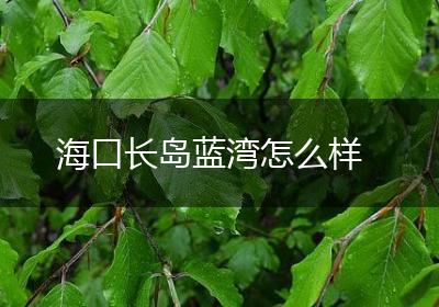 海口长岛蓝湾怎么样