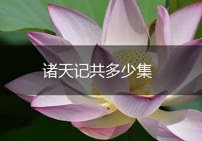 诸天记共多少集