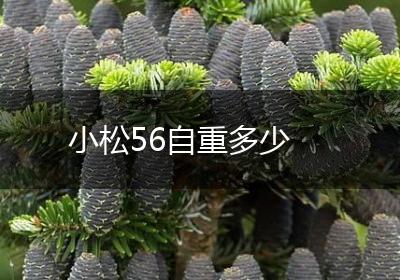 小松56自重多少