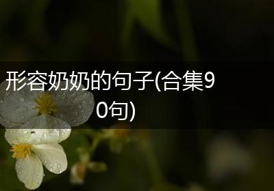 形容奶奶的句子(合集90句)