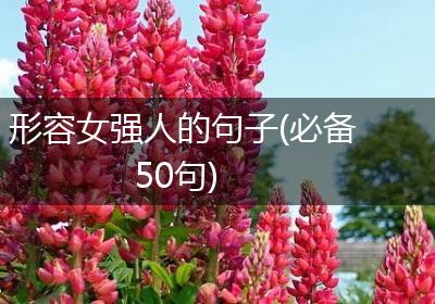 形容女强人的句子(必备50句)
