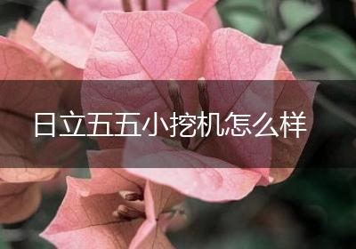 日立五五小挖机怎么样