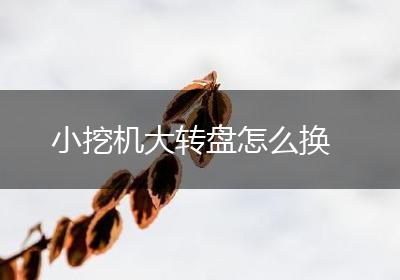 小挖机大转盘怎么换
