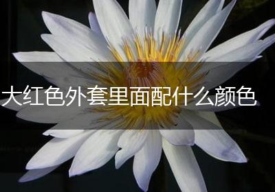 大红色外套里面配什么颜色