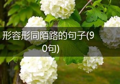 形容形同陌路的句子(90句)