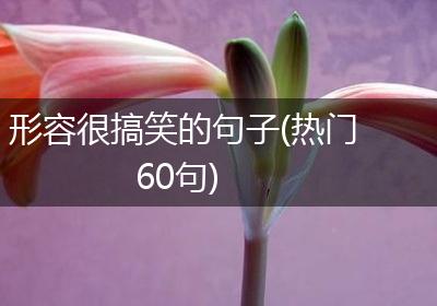 形容很搞笑的句子(热门60句)