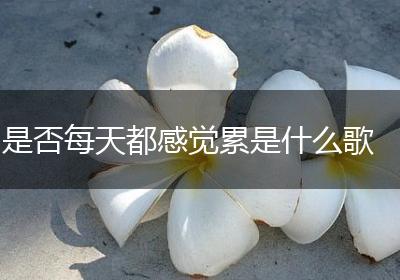 是否每天都感觉累是什么歌