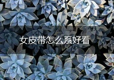 女皮带怎么系好看