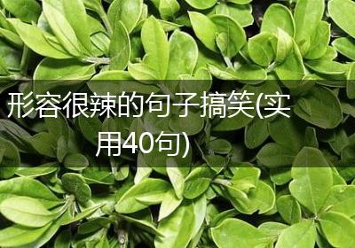 形容很辣的句子搞笑(实用40句)
