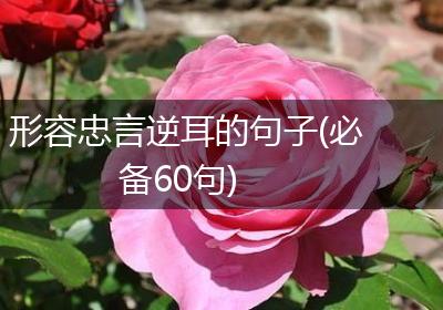 形容忠言逆耳的句子(必备60句)