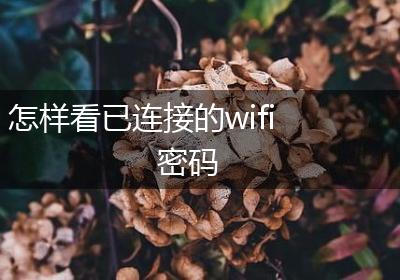 怎样看已连接的wifi密码