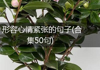 形容心情紧张的句子(合集50句)