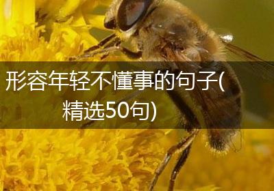 形容年轻不懂事的句子(精选50句)