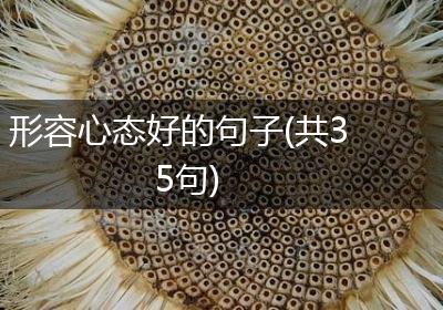 形容心态好的句子(共35句)