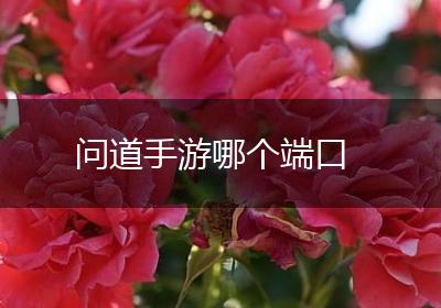 问道手游哪个端口