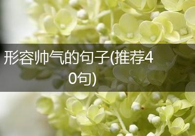 形容帅气的句子(推荐40句)