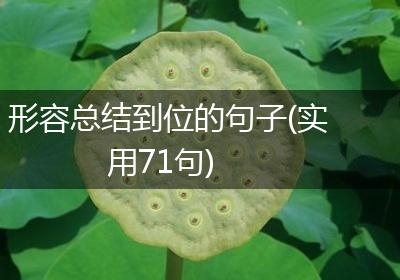 形容总结到位的句子(实用71句)