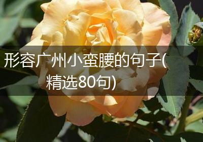 形容广州小蛮腰的句子(精选80句)