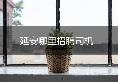 延安哪里招聘司机