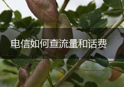 电信如何查流量和话费