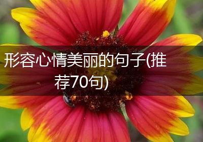 形容心情美丽的句子(推荐70句)