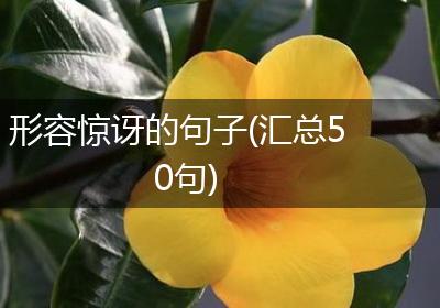 形容惊讶的句子(汇总50句)