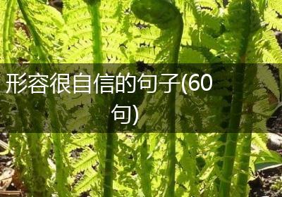 形容很自信的句子(60句)