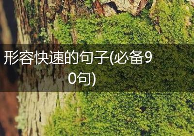 形容快速的句子(必备90句)