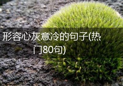 形容心灰意冷的句子(热门80句)