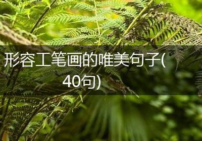 形容工笔画的唯美句子(40句)