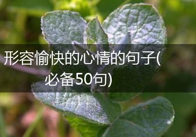 形容愉快的心情的句子(必备50句)