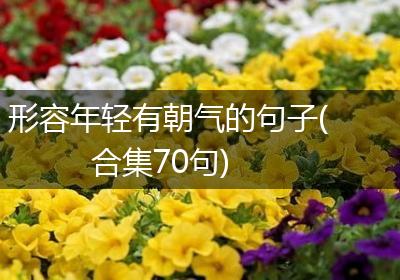 形容年轻有朝气的句子(合集70句)