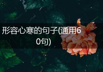 形容心寒的句子(通用60句)