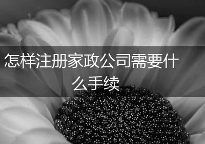 怎样注册家政公司需要什么手续