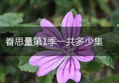 眷思量第1季一共多少集
