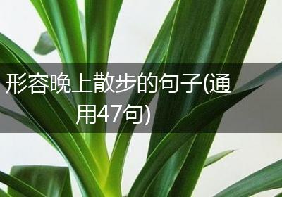 形容晚上散步的句子(通用47句)