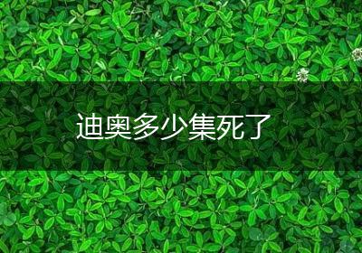 迪奥多少集死了