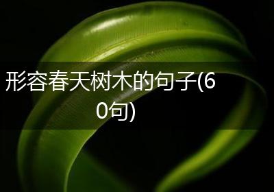 形容春天树木的句子(60句)