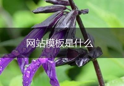 网站模板是什么