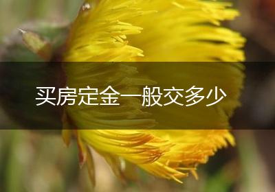 买房定金一般交多少
